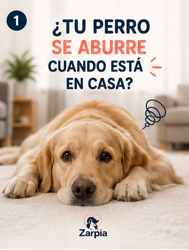 Cómo evitar que tu perro se aburra en casa