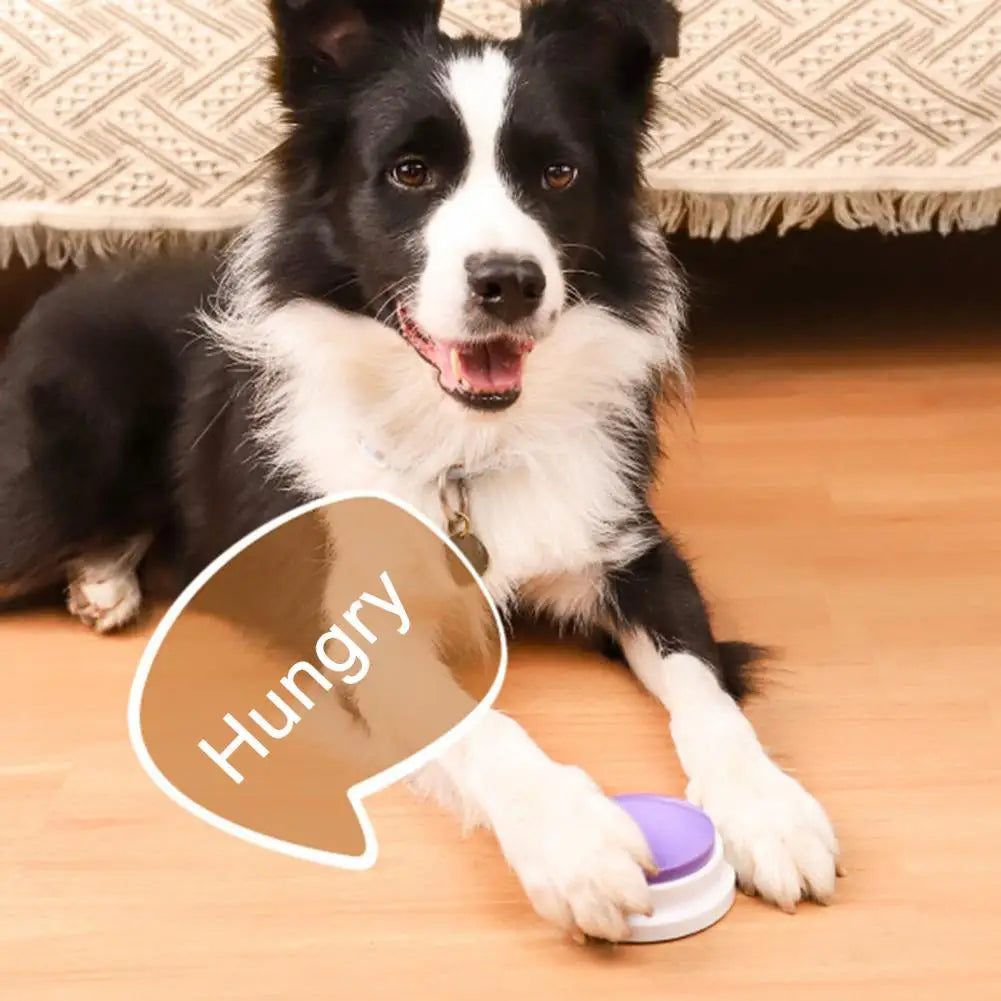 TalkPaws | Botón comunicador para perros con grabación de voz
