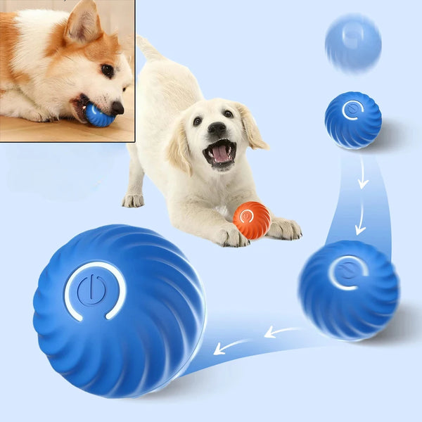 Pelota interactiva automática para perros