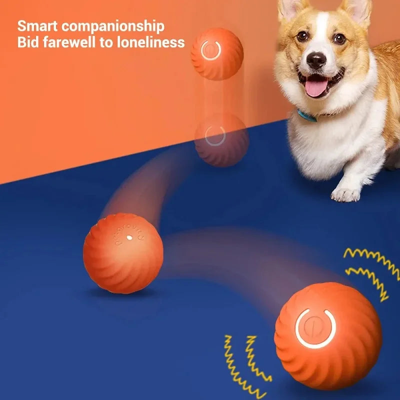 Motionball | Pelota interactiva automática para perros
