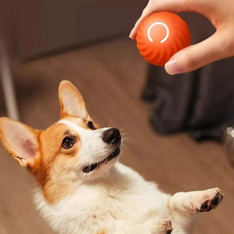 Motionball | Pelota interactiva automática para perros